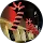 Avatar Description